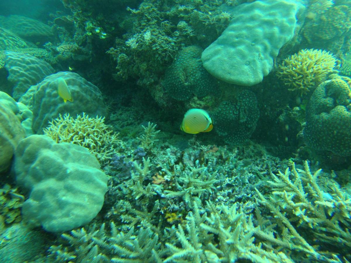 Playa Encantada Beach Resort El Nido Buitenkant foto